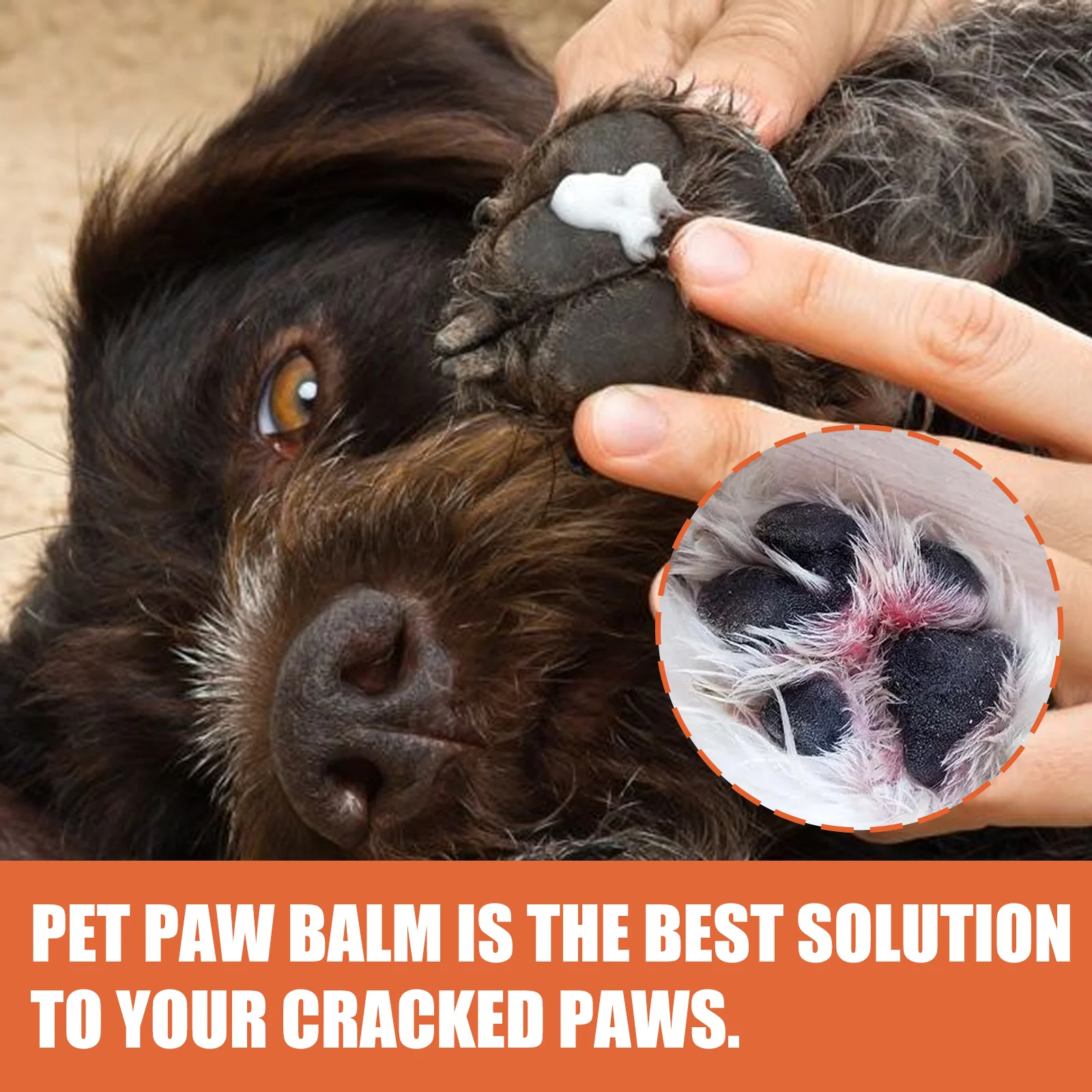 pet paw cream 30g cat and dog paw protection cream moisturizing and nourishing natural ingredients suitable for chapped paws pet paw cream 30g cat and dog paw protection cream moisturizing and nourishing natural ingredients suitable for chapped paws