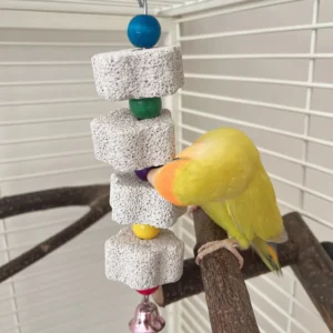 parrot chewing toy, bird beak grinding stone with random color of bells for suitable for small pets such as parrots and hamsters
