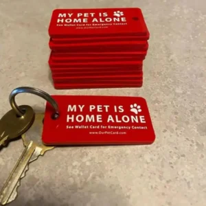 pet health key tag pet safety keychain set with emergency contact cards for home pets dog cat key tags for outdoors shopping pet