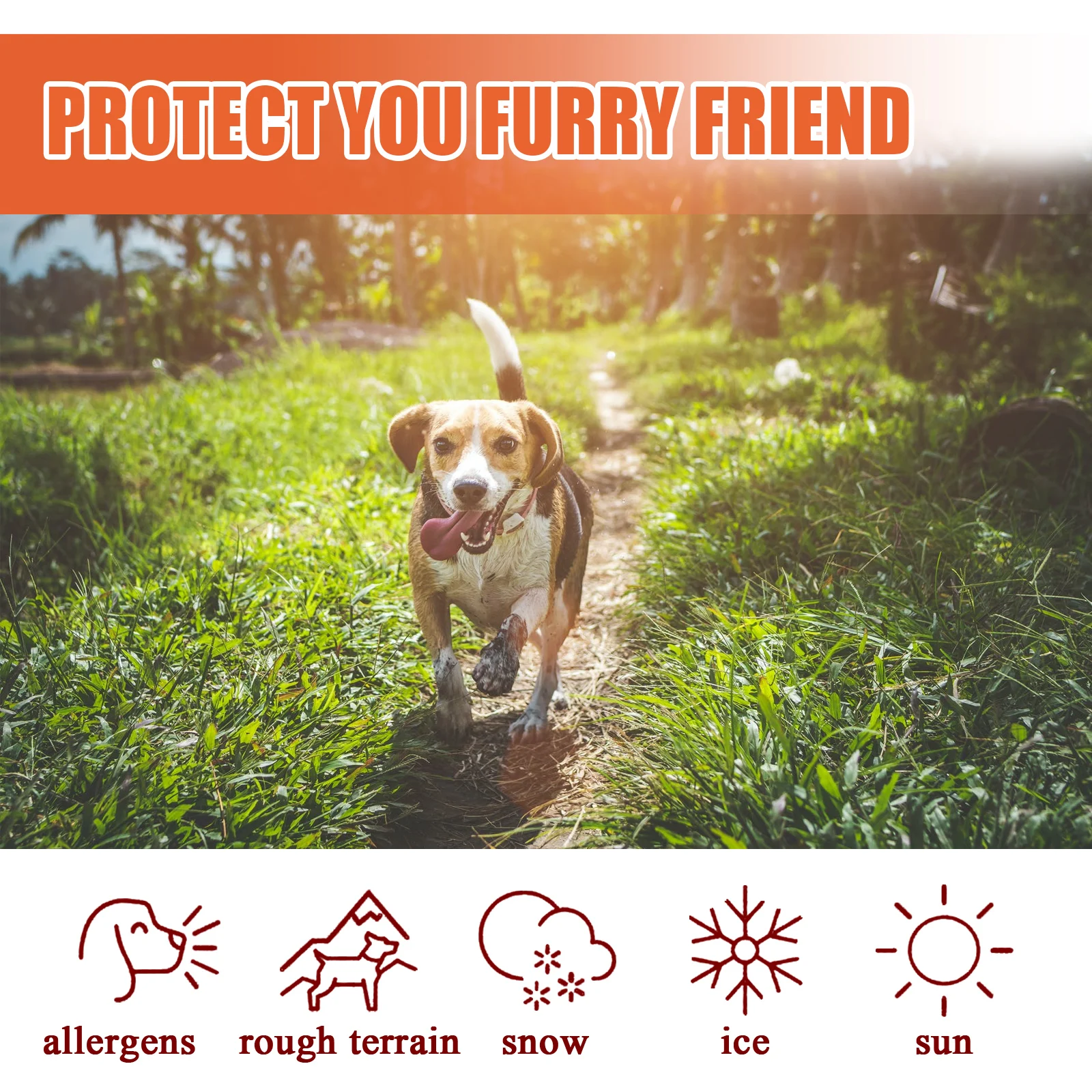 pet paw cream 30g cat and dog paw protection cream moisturizing and nourishing natural ingredients suitable for chapped paws pet paw cream 30g cat and dog paw protection cream moisturizing and nourishing natural ingredients suitable for chapped paws